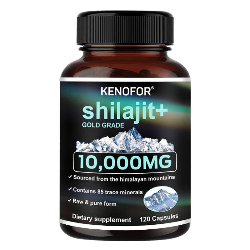 Himalaya Shilajit Kapseln